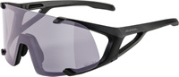 Okulary Alpina Hawkeye Q-Lite V Kolor Black Matt S