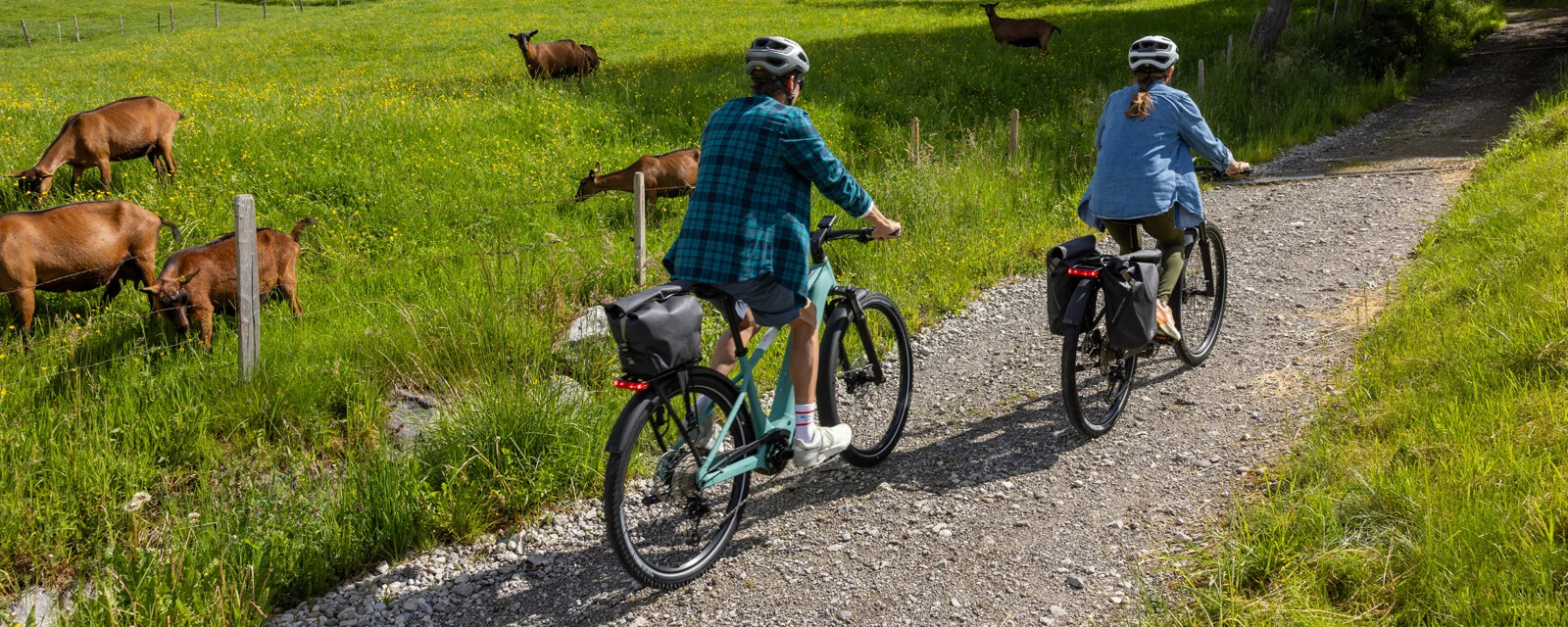  sco-bike-plp-hero-desktop-electric-bikes-121124_2188059