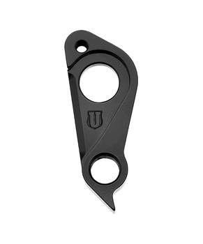 Hak GH-290 do ramy Focus Union Blister