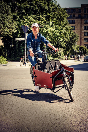 Łańcuch 1rz. KMC eCargo1 EPT Rolka 50m + 40 CL