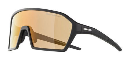 Okulary Alpina Ram Q-Lite V Kolor Black Matt Szkło