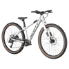 Rower 26" Scott Scale 600 alloy silver