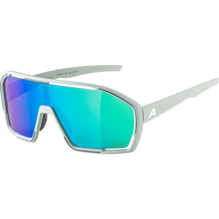 Okulary Alpina Bonfire Q-Lite Kolor Smoke-Grey Mat