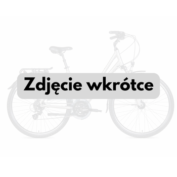 Rower damski Unibike Vision 28” Koralowy