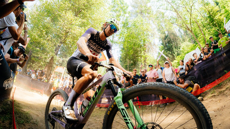 Rower 29" Spark RC World Cup hush purple