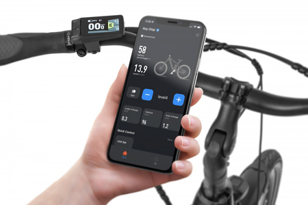 Rower elektryczny 28" Ecobike LX 100 Black