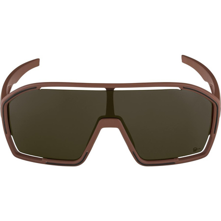 Okulary Alpina Bonfire Q-Lite Kolor Brick Matt Szk