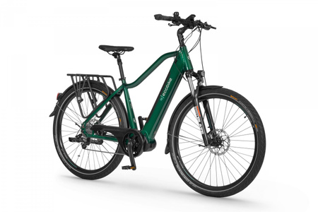 Rower elektryczny 28" Ecobike MX 300 Green