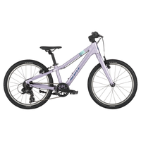 Purpurowy