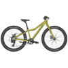 Rower 24" Scott Roxter 24 Green