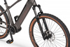Rower elektryczny 29" Ecobike SX 300 Copper Black