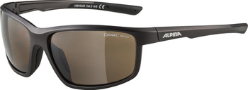 Okulary Alpina Defey Kolor Tin-Black Matt Szkło Br