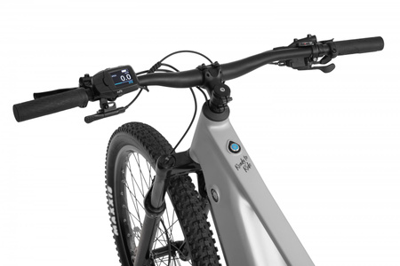 Rower elektryczny 29" Ecobike Mauler