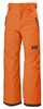 Spodnie Helly Hansen JR Winter Legendary 278