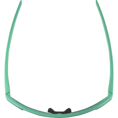 Okulary Alpina Bonfire Kolor Turquoise Matt Szkło