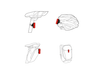 Zestaw Lamp Ravemen LS-CT02(LR500S+TR20) 