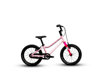 Rower 16" Storm Polly 2VBR light perła 