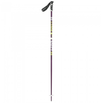 Kije Narciarskie Scott Winter Team Issue purple